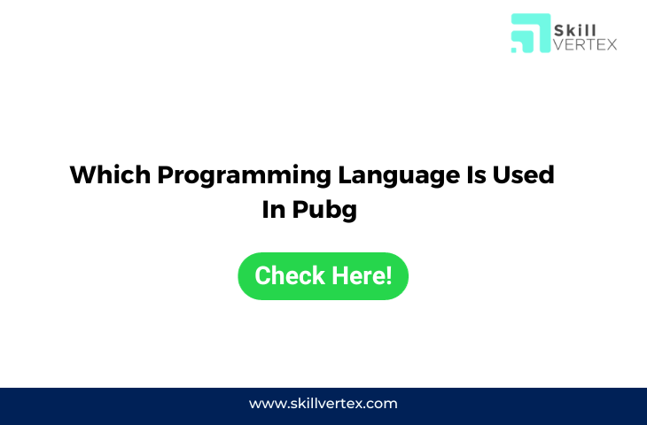 Which Programming Language Is Used In Pubg